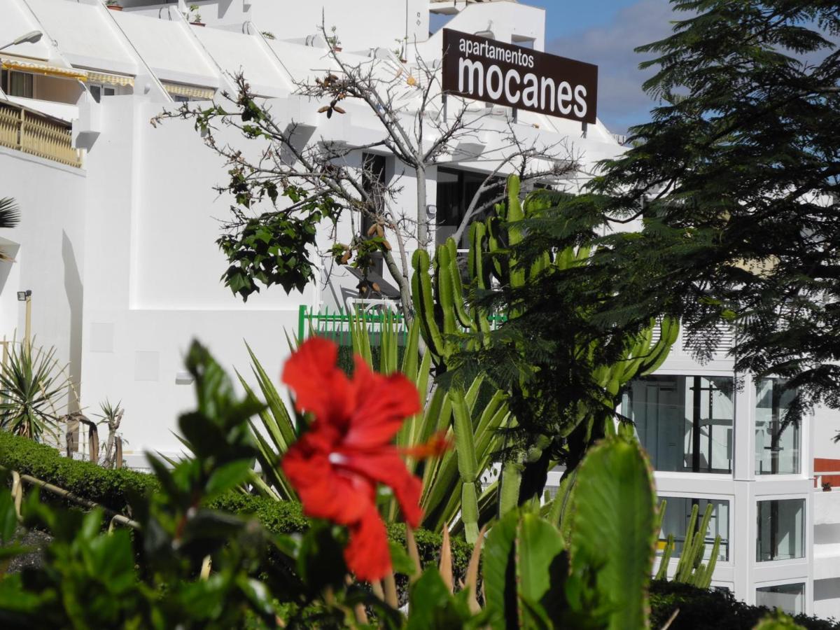 Apartamentos Los Mocanes Πουέρτο Ρίκο Εξωτερικό φωτογραφία