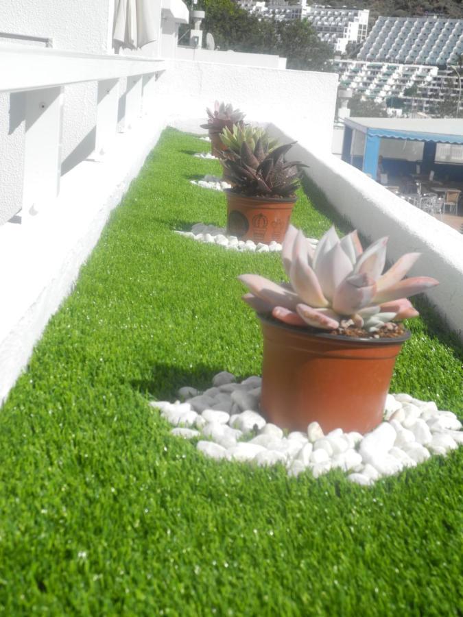 Apartamentos Los Mocanes Πουέρτο Ρίκο Εξωτερικό φωτογραφία